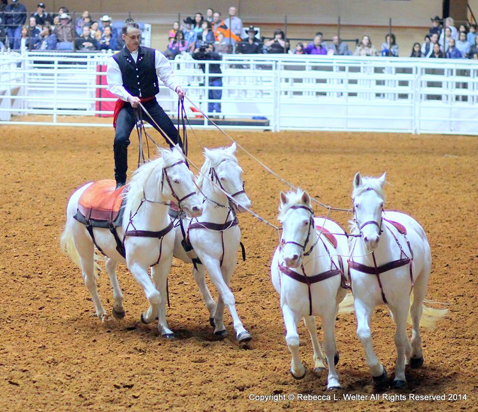 Roman Riding